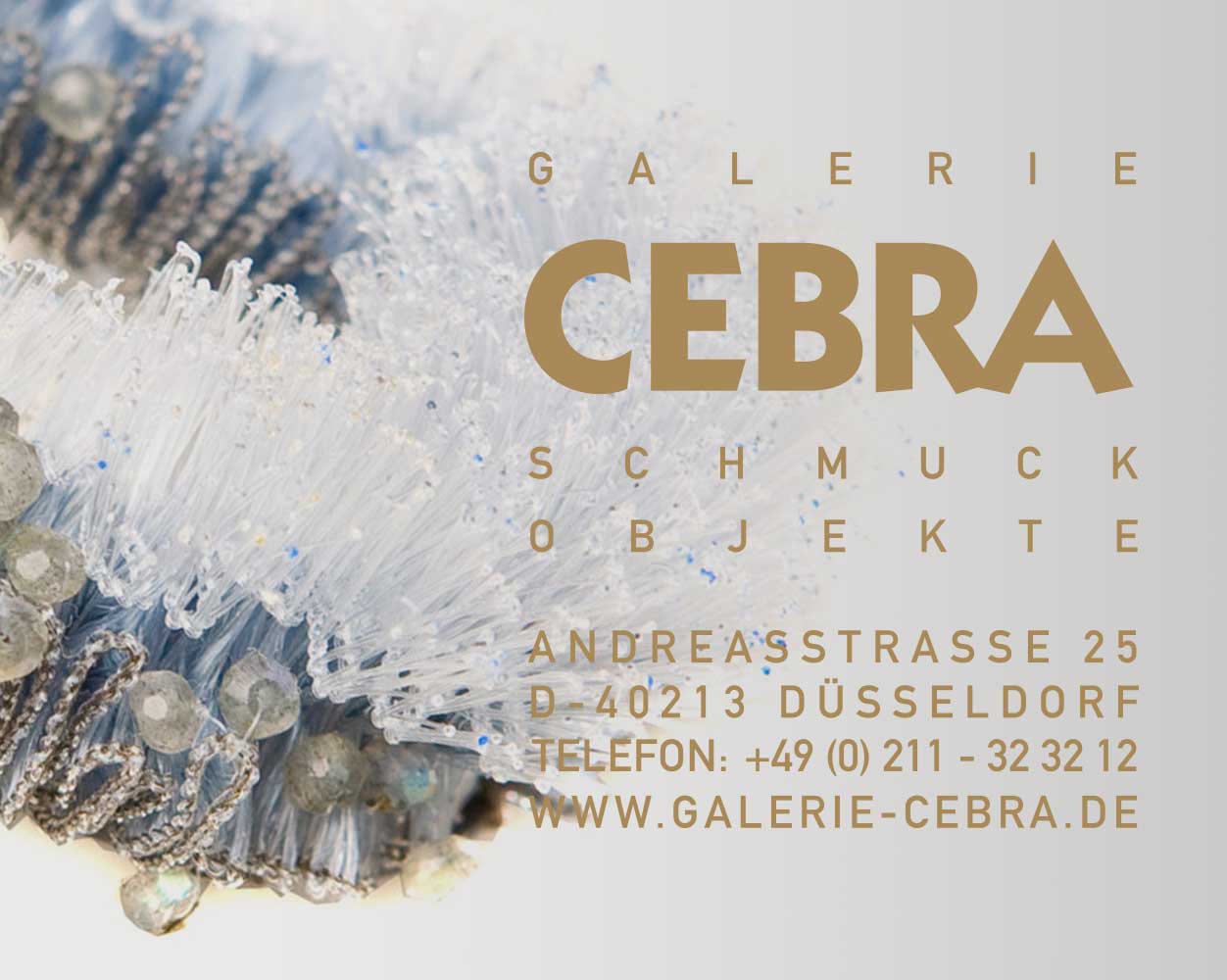 cebra_start_jan_2026_mob