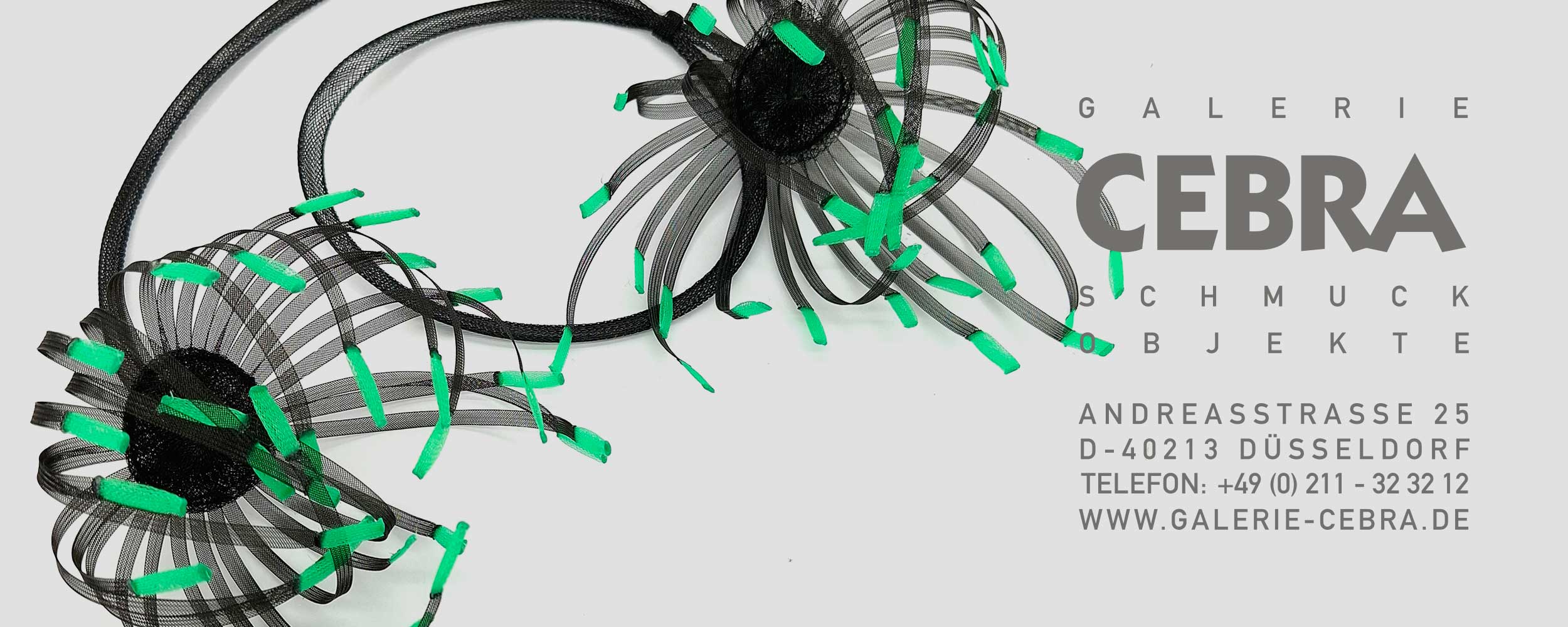 cebra_start_feb_2026