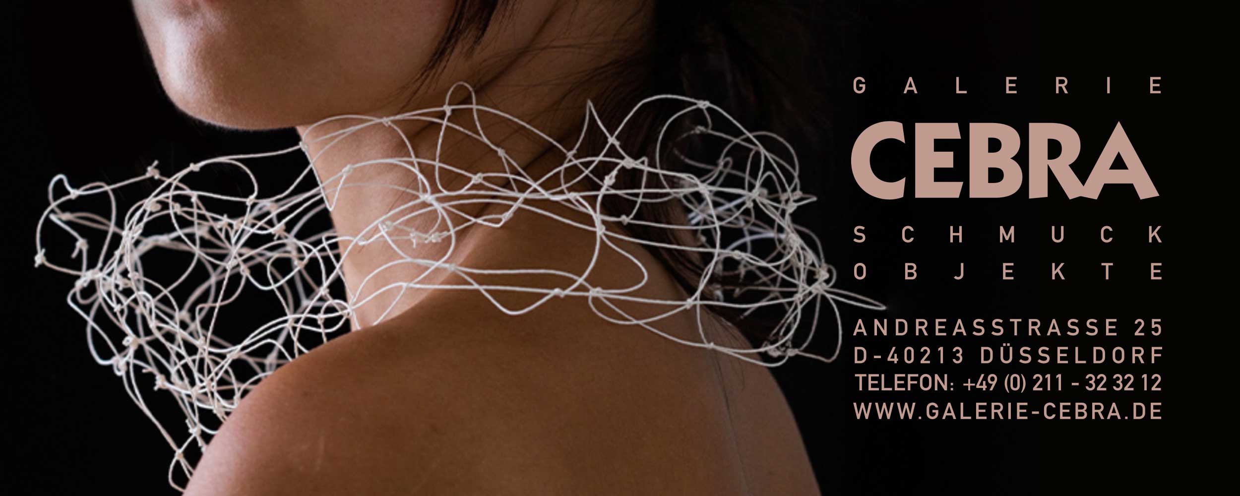 cebra_start_april_2025