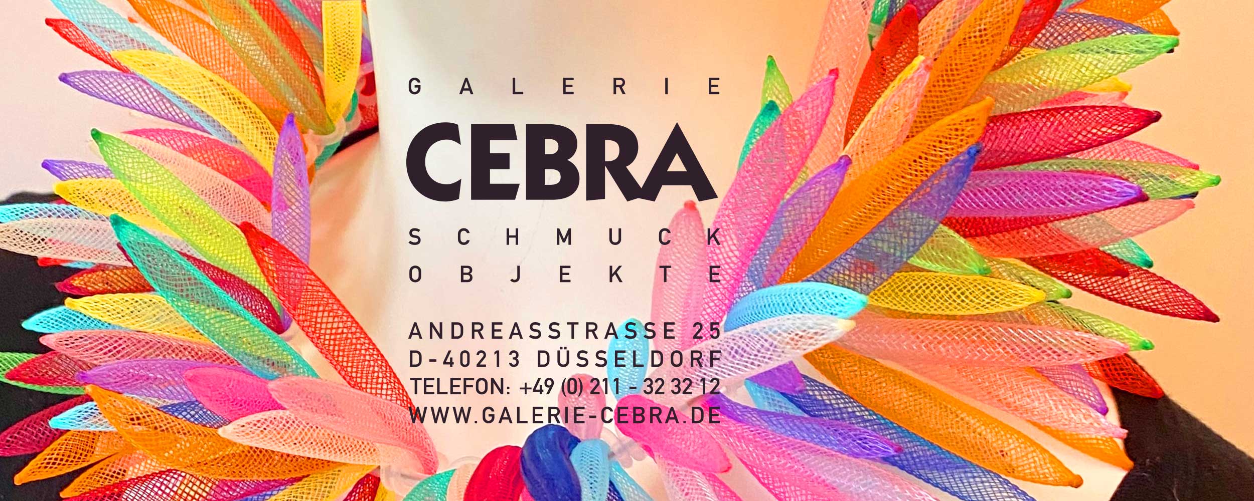 cebra_start_2024_Jul